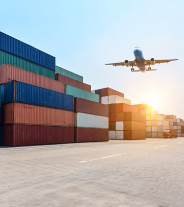 Our Services - Import & Logistics